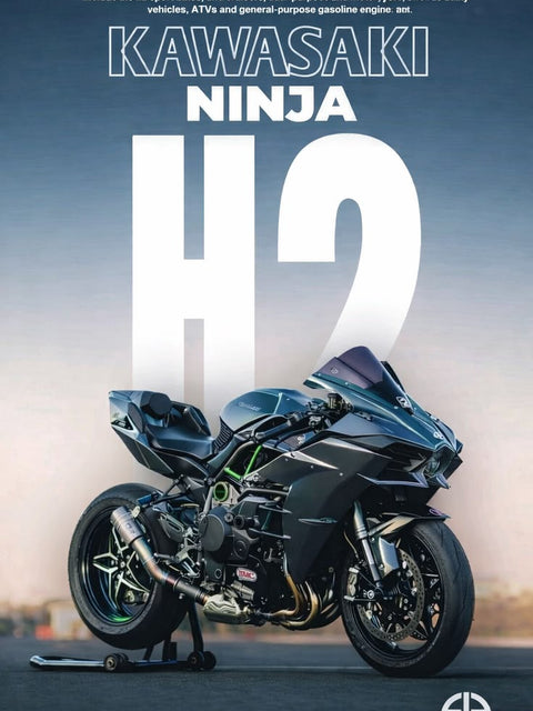 “Beast Machine – Ninja H2”